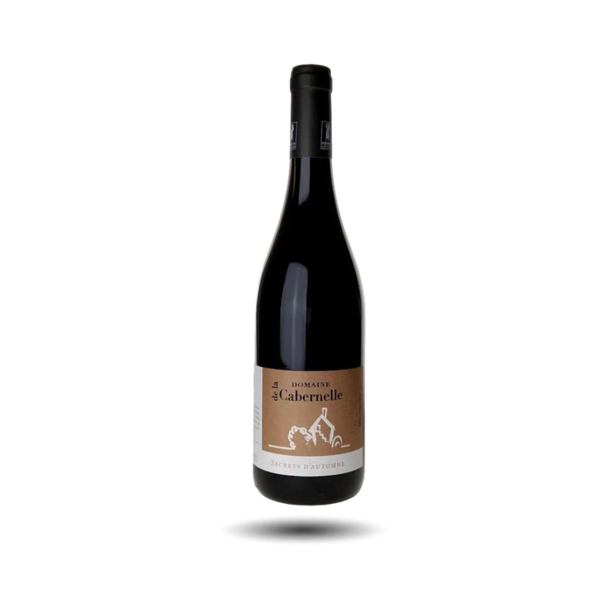 Bourgueil - Domaine de La Cabernelle, Secret d’automne, 2022