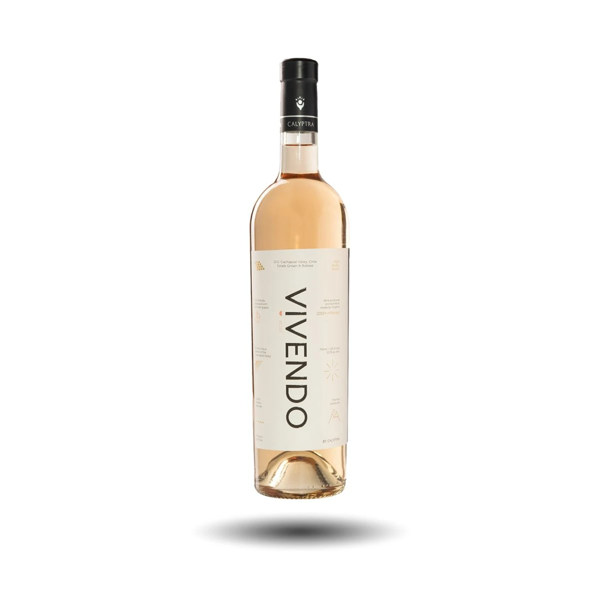 Calyptra - Vivendo, Rosado, 2020 Calyptra - Vivendo, Rosado, 2020