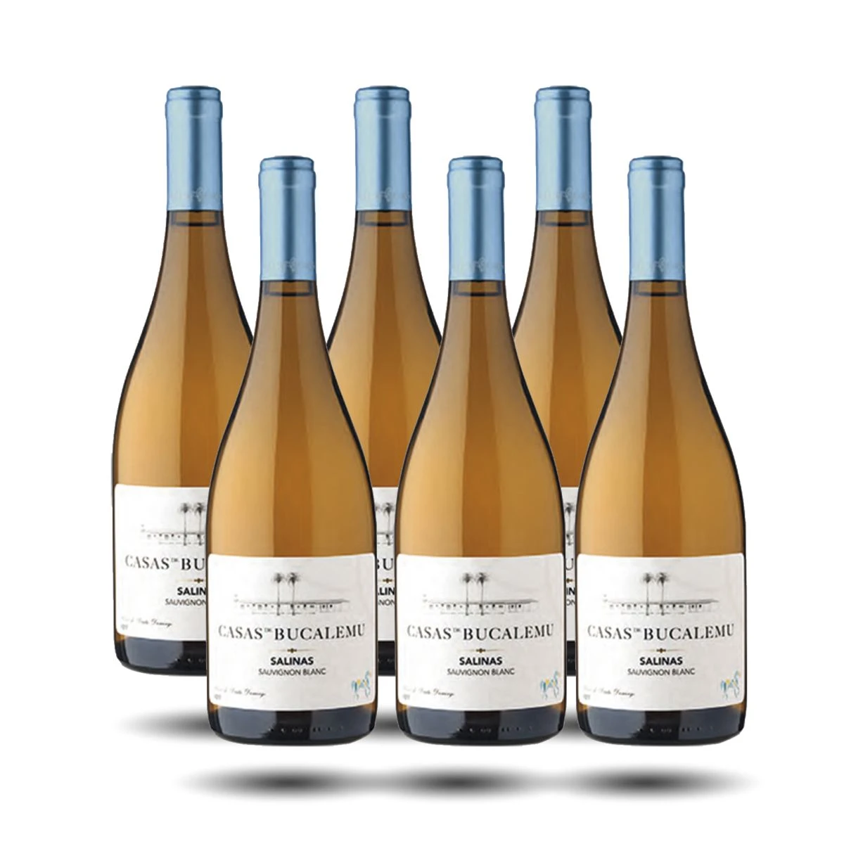 Casas de Bucalemu - Salinas, Sauvignon Blanc, 2022 Casas de Bucalemu - Salinas, Sauvignon Blanc, 2022