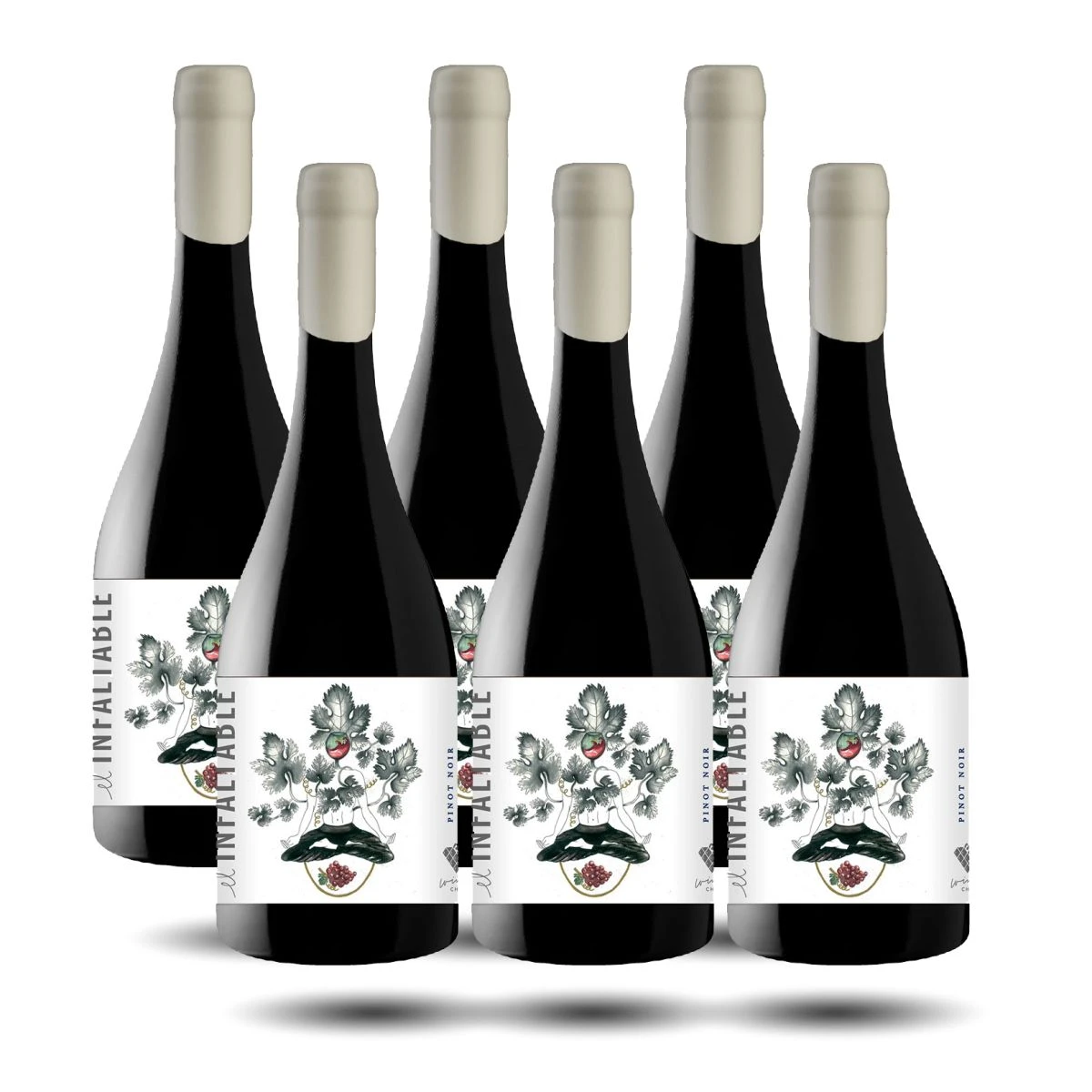 Mujer Andina - El Infaltable, Pinot Noir, 2021