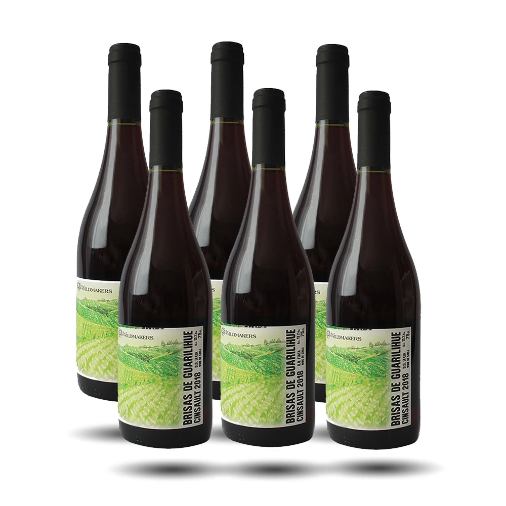 Wildmakers - Brisas de Guarilihue, Cinsault, 2021
